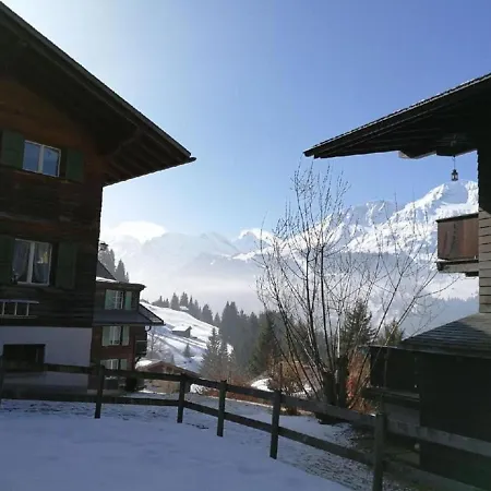 Chalet Sandra In Wengen
